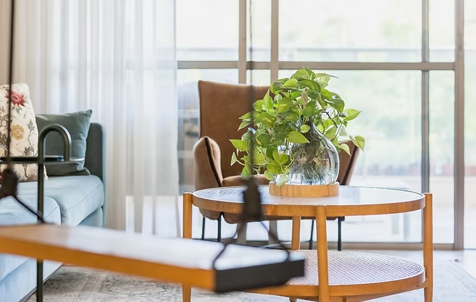 אגרטלים מעוצבים לסלון