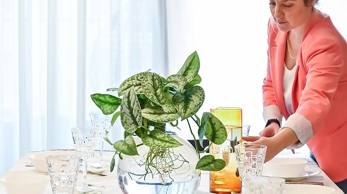 אגרטל זכוכית שקוף