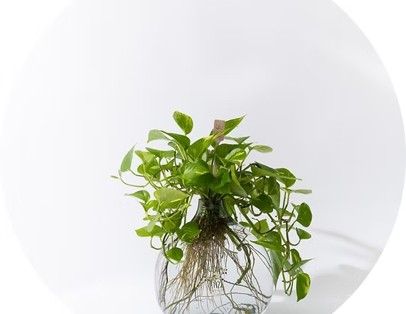 זר פרחים מיוחד באגרטל זכוכית