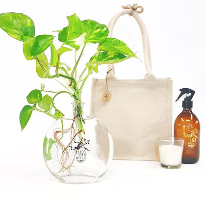 מארז KARMA - פוטוס