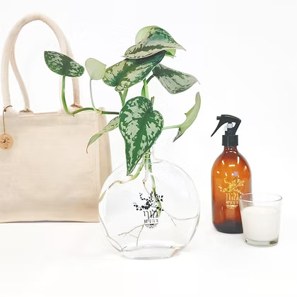 מארז KARMA - פיקטוס