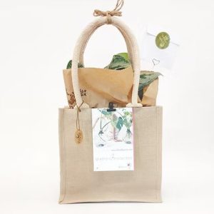 אריזת תיק קנבס