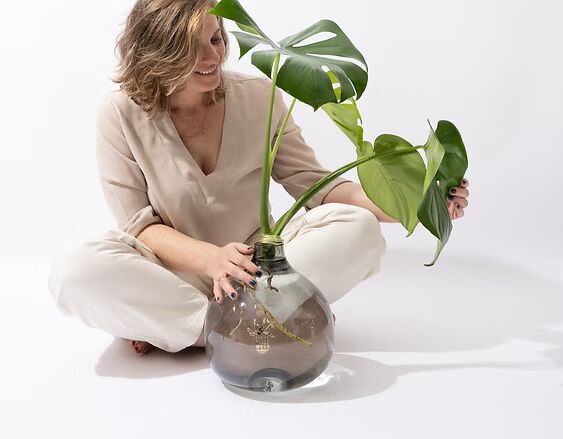 אגרטל זכוכית שקוף