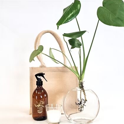 מארז KARMA - מונסטרה