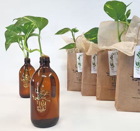 מארז מתנות - בקבוקי גלורי רטרו