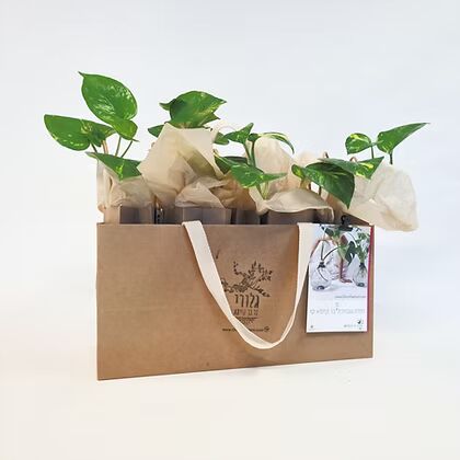 מארז לעובד חדש או מתנות ללקוחות