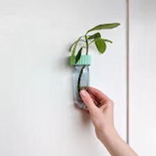 מבחנת השרשה מגנטית - רוטא