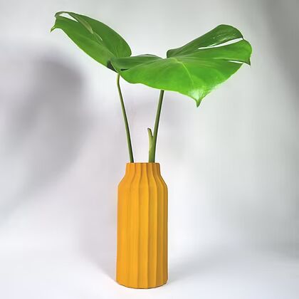 מונסטרה באגרטל HALO