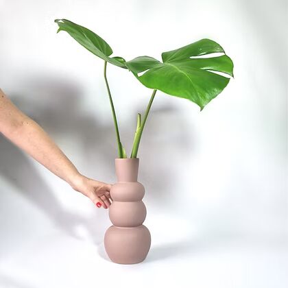 מונסטרה באגרטל ורוד