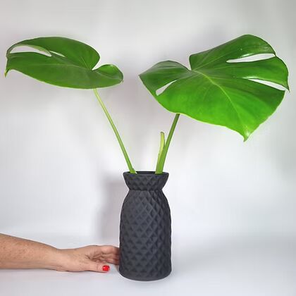 מונסטרה באגרטל קרמיקה שחור