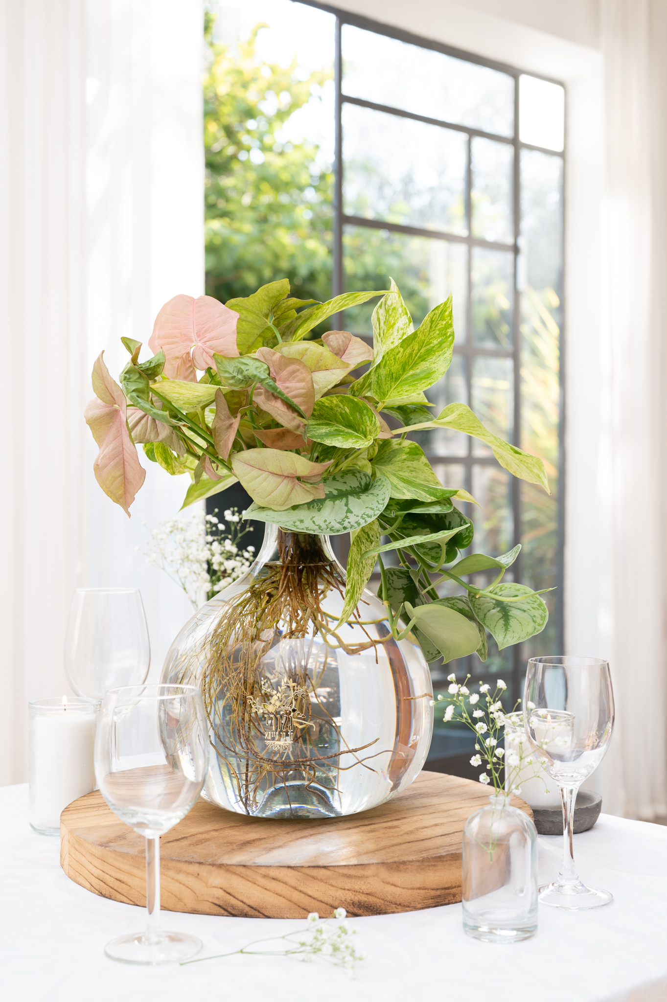 זרים מעורבים