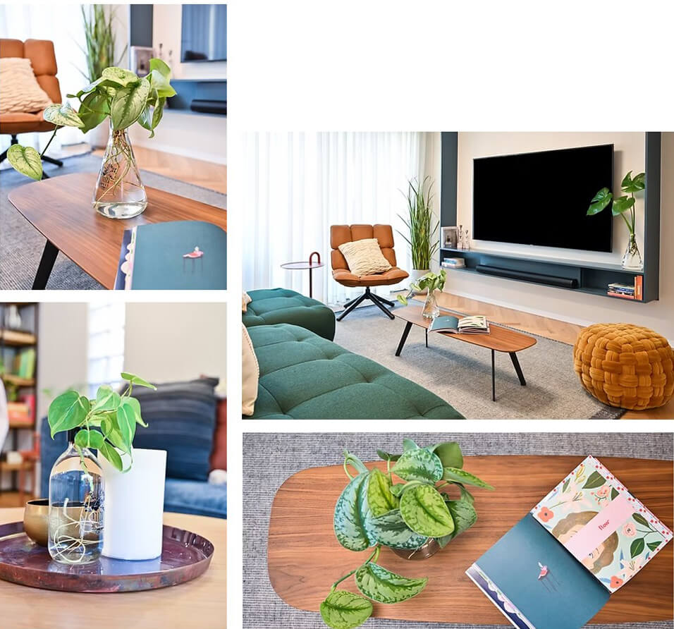 אביזרי נוי לבית