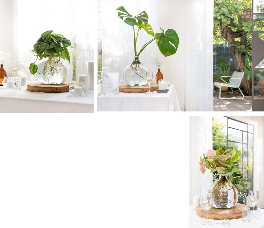 אגרטלים מיוחדים