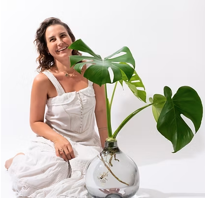 זרי מונסטרה ופיקטוס