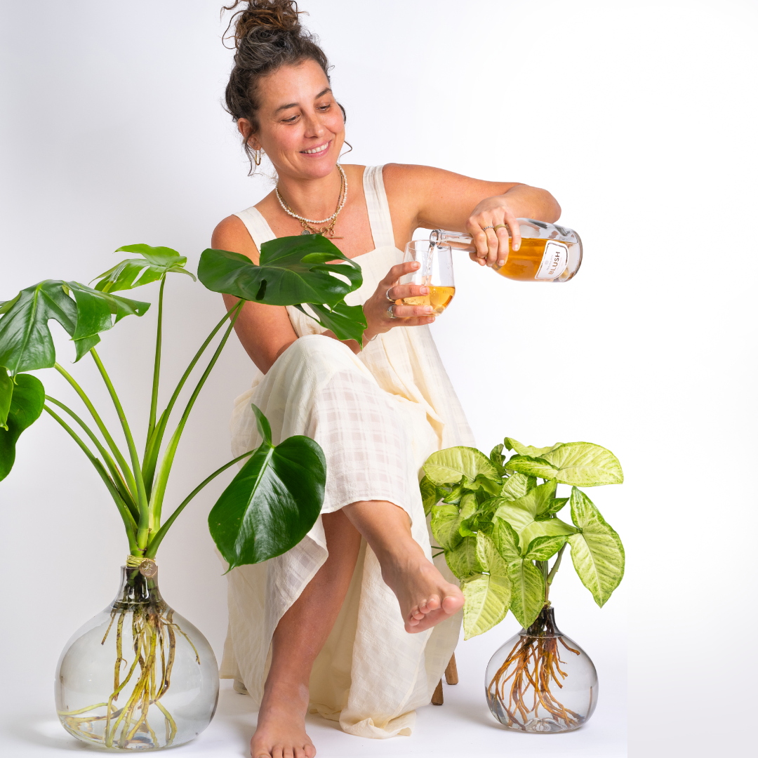 יין שוקולד ועוד