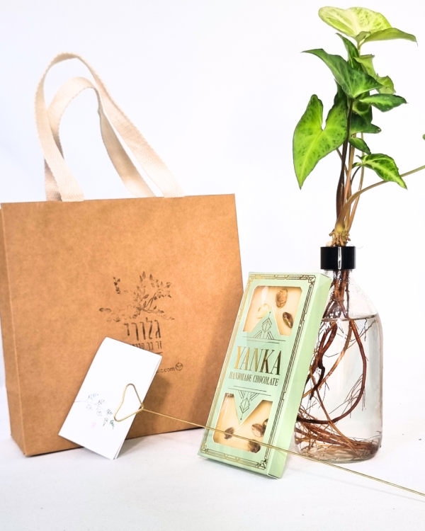 מארז הכולל בקבוק גלורי ושוקולד