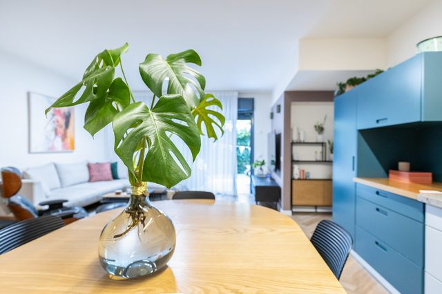 מתנה למנהל עציץ הידרופוני